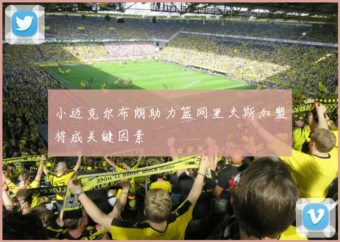 小迈克尔布朗助力篮网里夫斯加盟将成关键因素