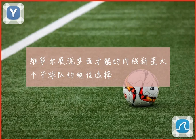维萨尔展现多面才能的内线新星大个子球队的绝佳选择